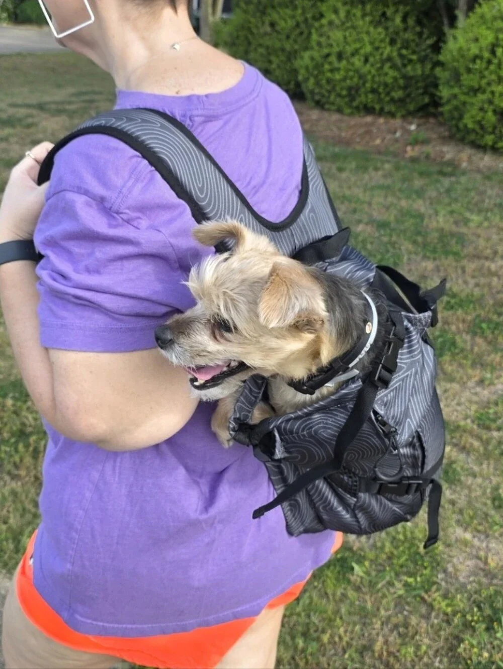 Arcadia Trail Gray Patterned Doggie Backpack